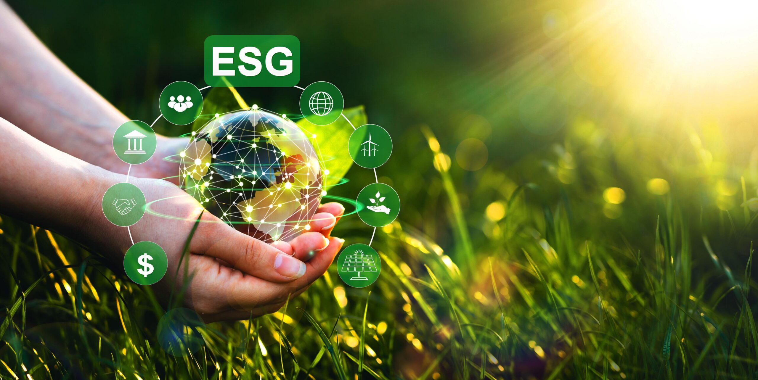 TI-Electronic - ESG Grüne Energie